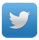 Twitter Logo Icon